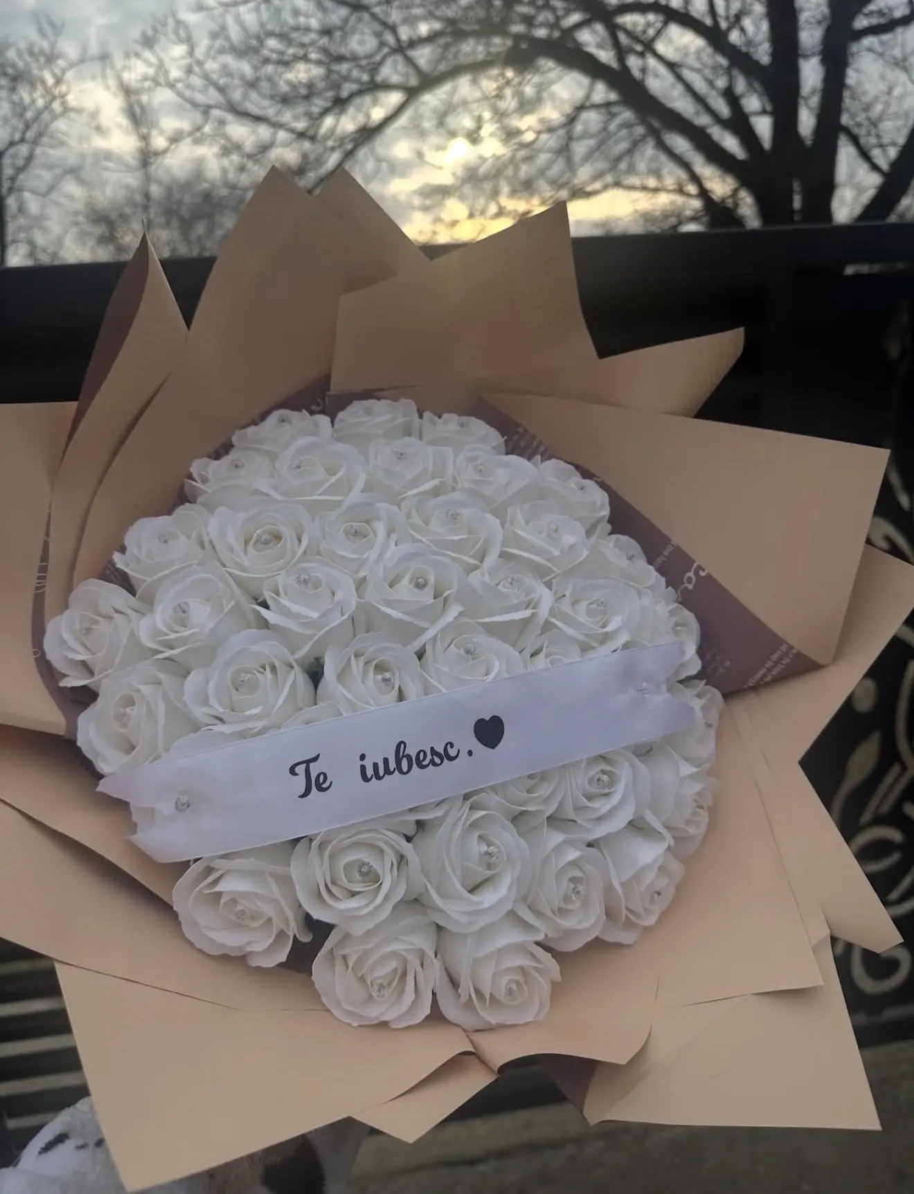 Alb cu mesaj — MLADI Roses